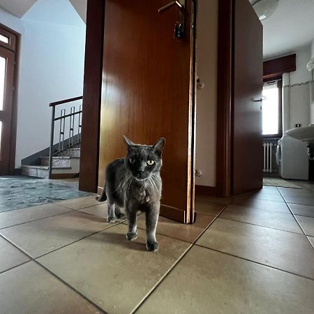 My Holidays - Musso Appartement Buitenkant foto