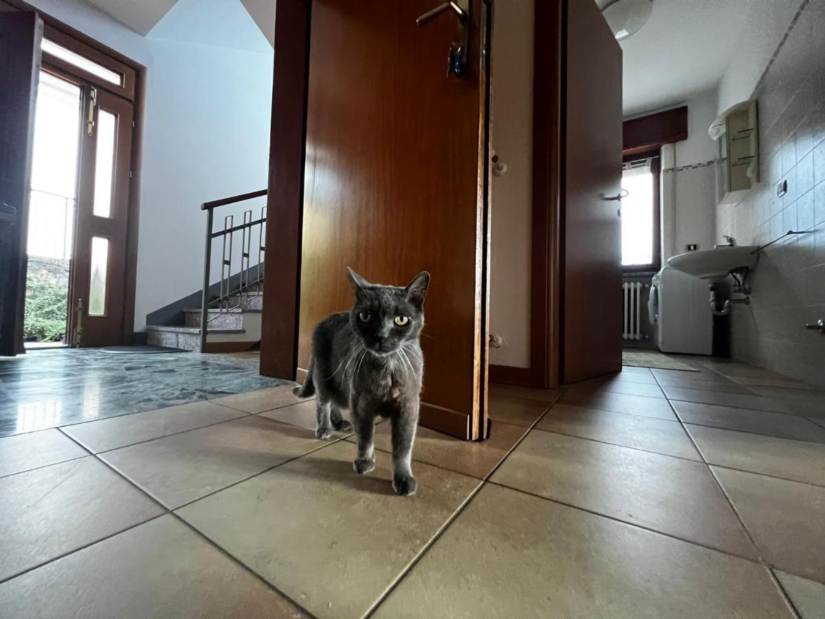 My Holidays - Musso Appartement Buitenkant foto